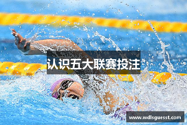 认识五大联赛投注
